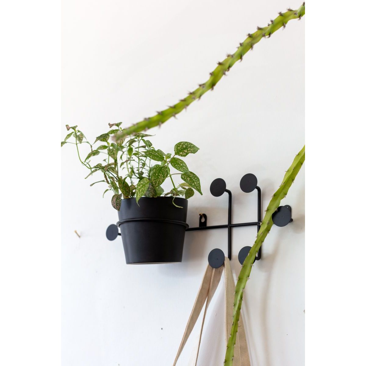 Rayen Wall Hanger
