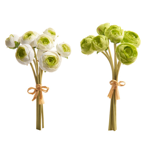 Green Ranunculus Bundle