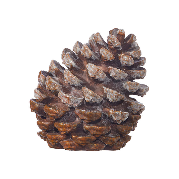 7in Pinecone