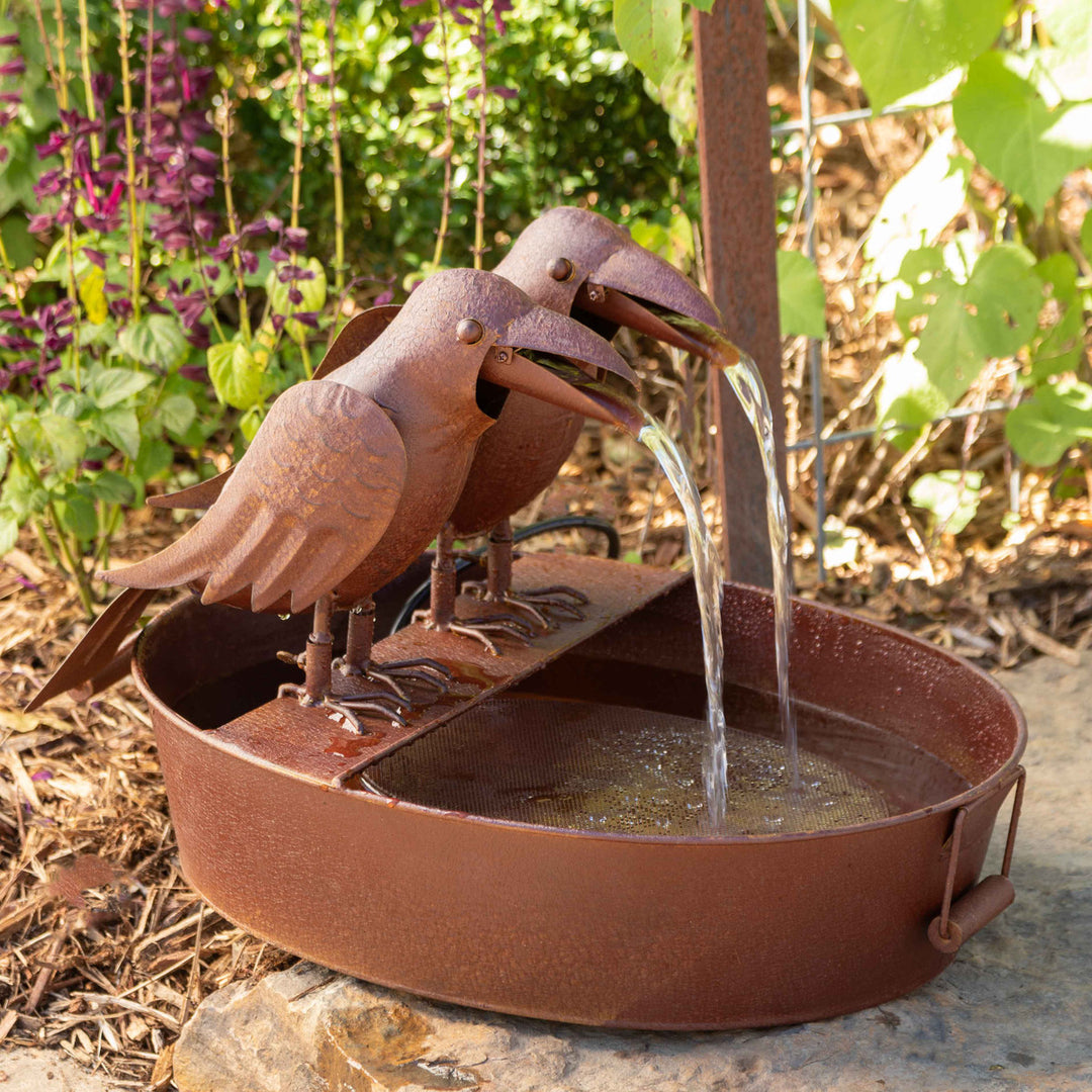 Crow in Tub Fountain