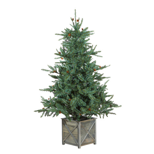 5.5' Spruce Tree in Box Stand
