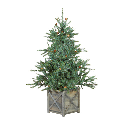 4.5' Spruce Tree in Box Stand